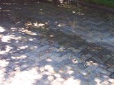 lavage presssion Pave 1.JPG
